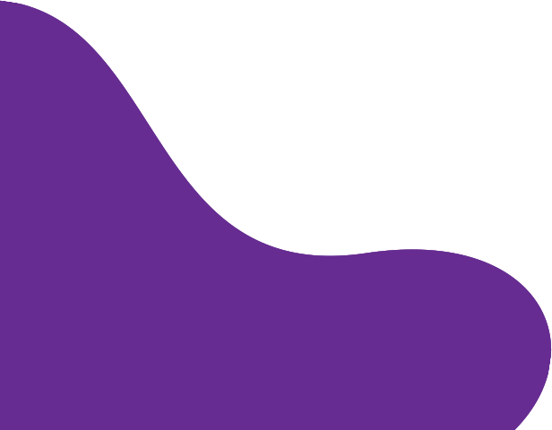 h6-bottom-shape1